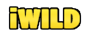 iWild Casino